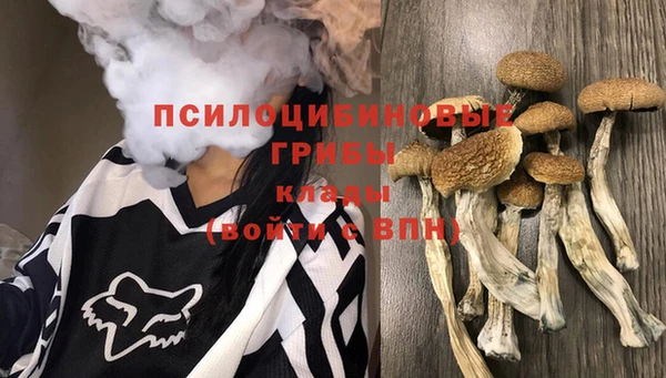 метадон Алексеевка