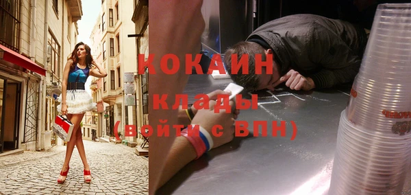 apvp Алзамай
