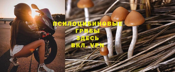 метадон Алексеевка
