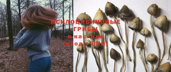 каннабис Дмитриев