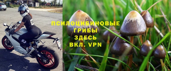 apvp Алзамай